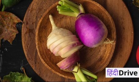 turnip meaning in hindi