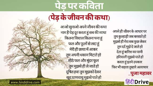Poem on Tree in Hindi