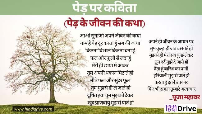 some-poem-on-tree-in-hindi-sitedoct