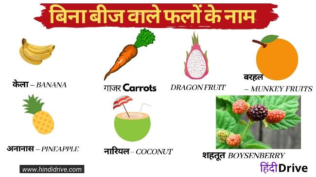 Seedless Fruits Name in Hindi