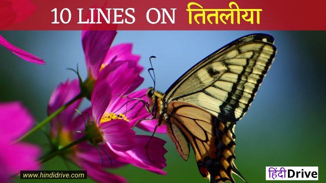 10 Lines On Butterfly In Hindi