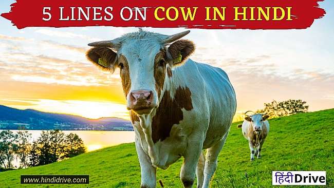 10 Lines On Cow In Hindi For Students