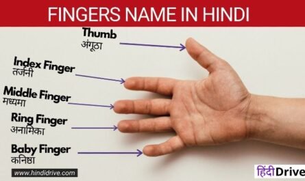 Fingers Name in Hindi