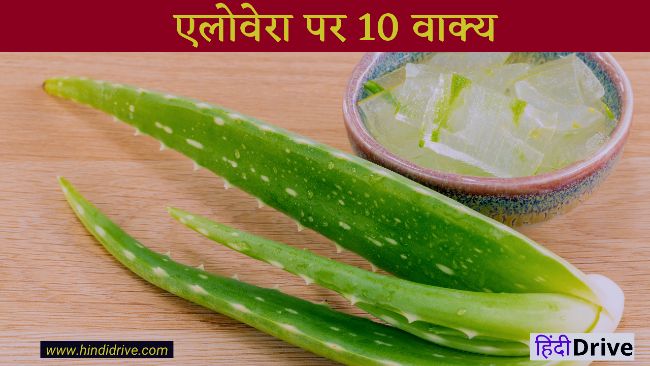 10 Lines on Aloevera in Hindi