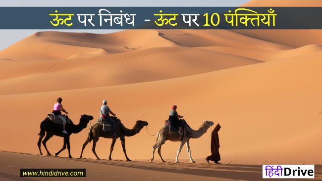 10 Lines on Camel In Hindi For Students