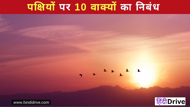 10 Lines on Birds in Hindi