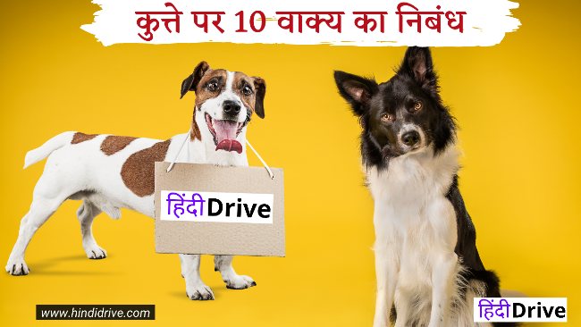 10 Lines on Dog in Hindi