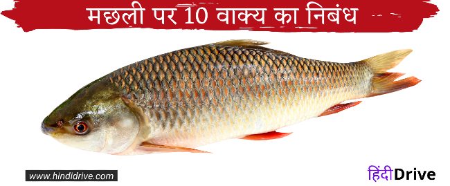 10 Lines on Fish in Hindi