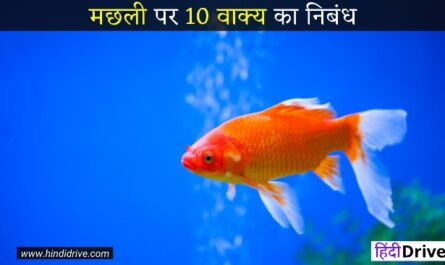 10 Lines on Fish in Hindi