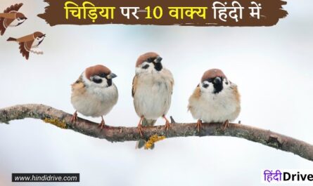 10 Lines on Sparrow Bird in Hindi