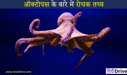 20+Interesting Facts About octopus In Hindi