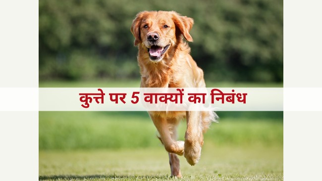 5 Lines on Dog in Hindi