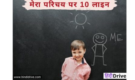Myself In Hindi 10 Lines