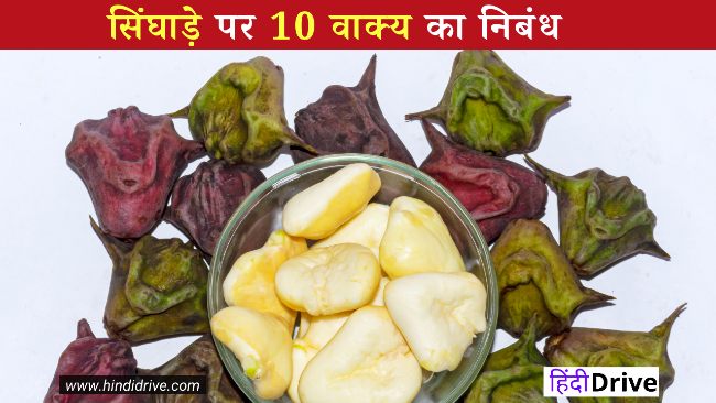 10 Lines on Singhara in Hindi