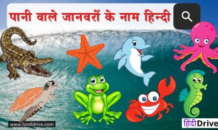 Water Animal Names in Hindi and English