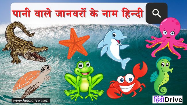 पानी वाले जानवरों के नाम हिन्दी -Water Animal Names in Hindi and English