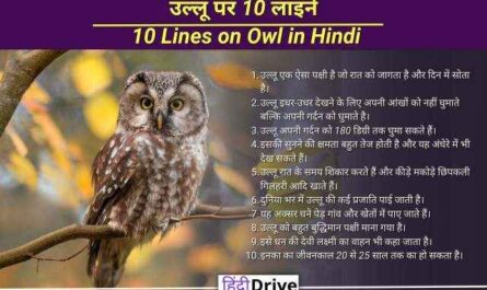 10 Lines on Owl in Hindi