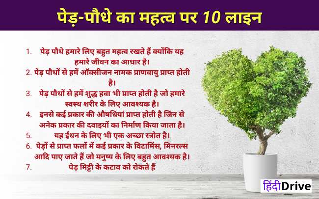 10 lines on Importance of Plants in Hindi