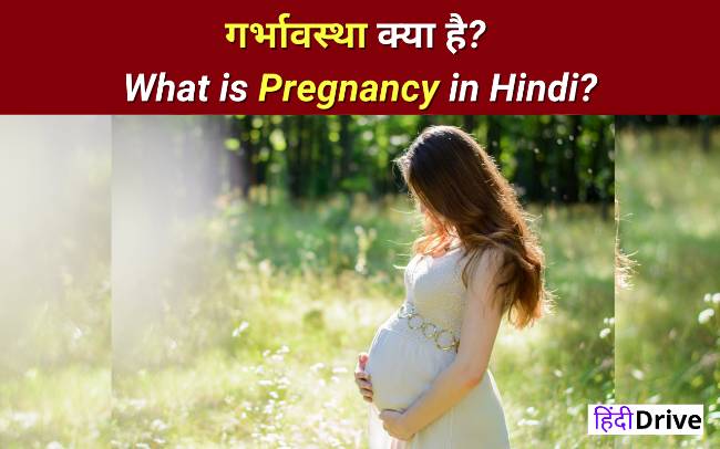 What is Pregnancy in Hindi