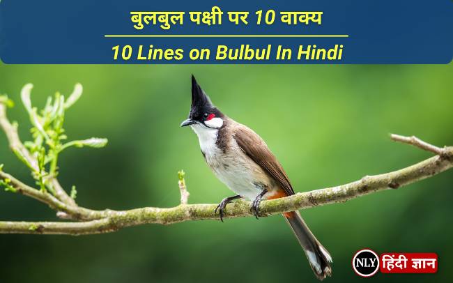 10 Lines on Bulbul In Hindi