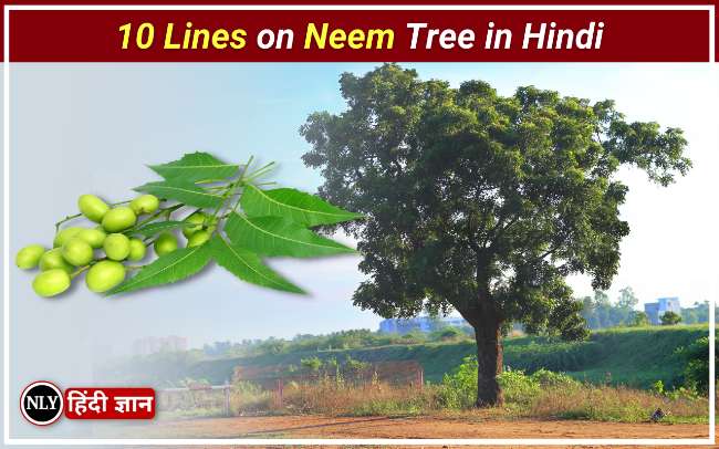 10 Lines on Neem Tree in Hindi