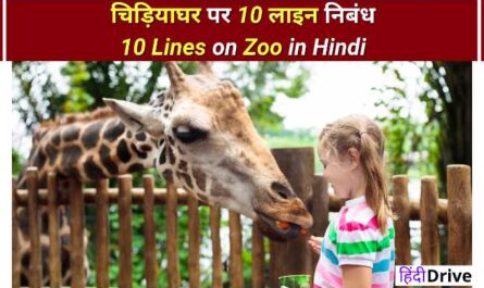 10 Lines on Zoo in Hindi