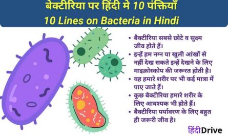 10 Lines on Bacteria in Hindi