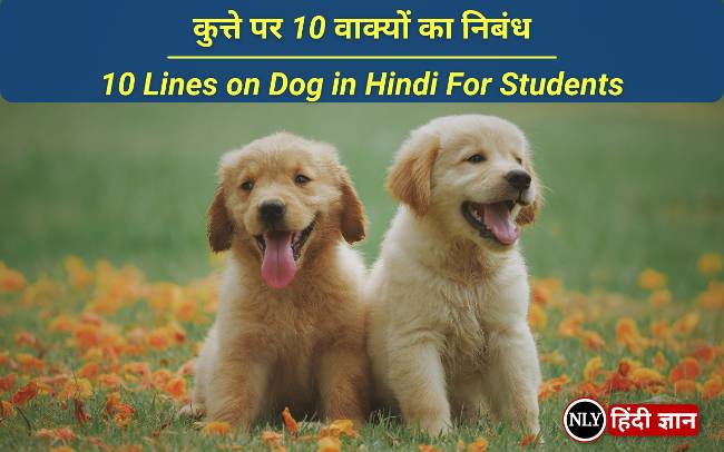 10 Lines on Dog in Hindi For Students