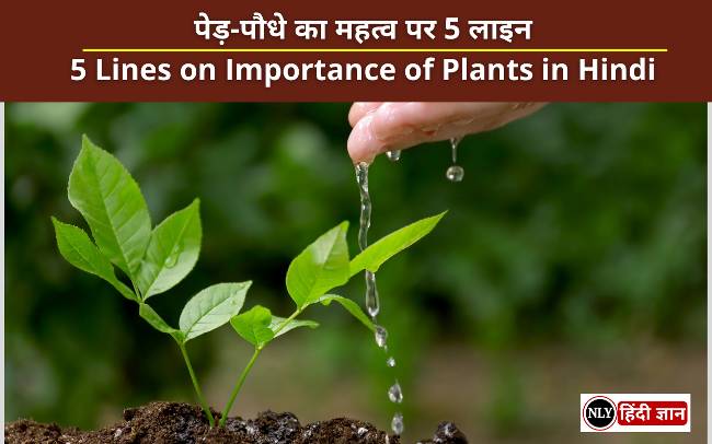 5 Lines on Importance of Plants in Hindi