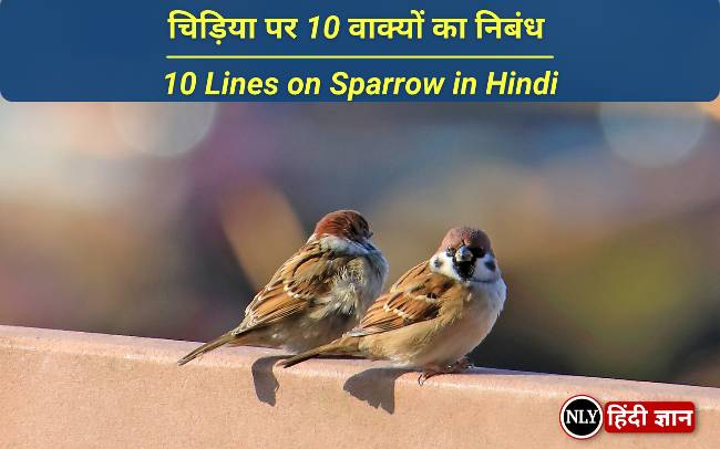 10 Lines on Sparrow in Hindi