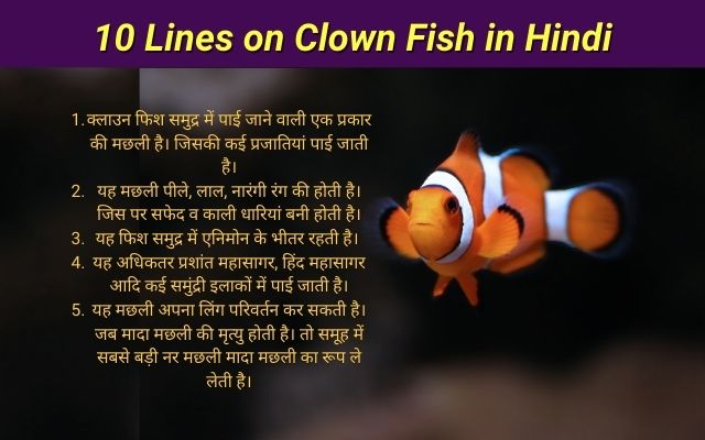 क्लाउनफिश पर हिंदी मे 10 पंक्तियाँ | 10 Lines on Clown Fish in Hindi