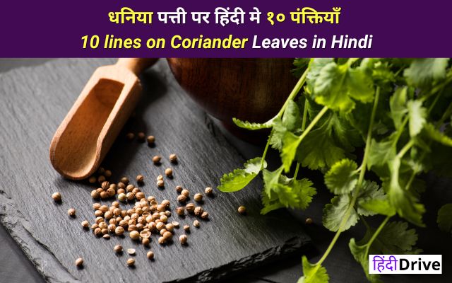 10 lines on Coriander Leaves in Hindi